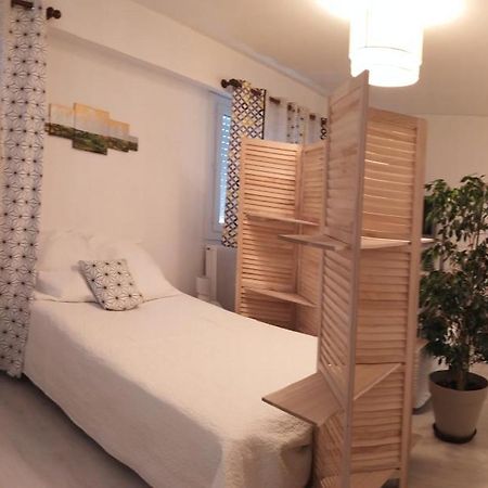 Grand Studio, Super Equipe, 2 Pas Du Centre-Ville "Clos-Du-Boulanger" - Parking Prive มงเบลียาร์ ภายนอก รูปภาพ